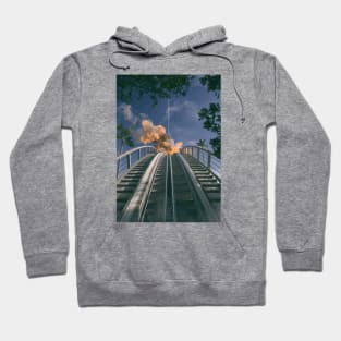 Thrill seeker Hoodie